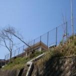 小学校周辺（新植）