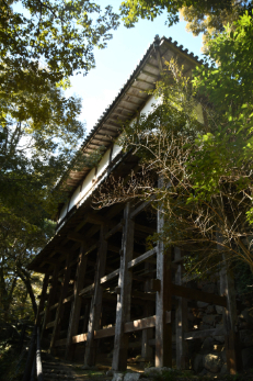 フォトコンテスト最優秀賞